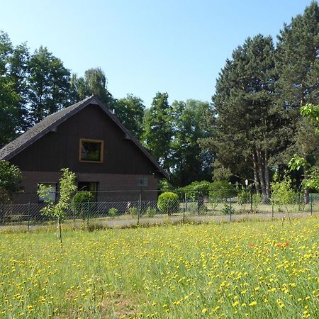 Ferienhaus An Der Borner Muehle Bruggen  Exterior foto